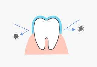 Fluoridation of Teeth